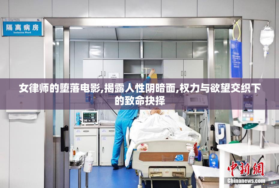 女律师的堕落电影,揭露人性阴暗面,权力与欲望交织下的致命抉择