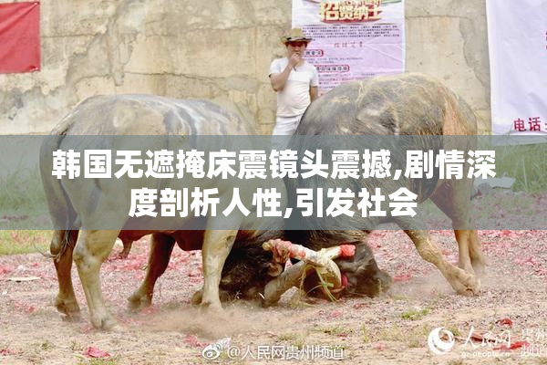 韩国无遮掩床震镜头震撼,剧情深度剖析人性,引发社会