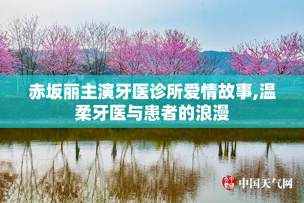 赤坂丽主演牙医诊所爱情故事,温柔牙医与患者的浪漫