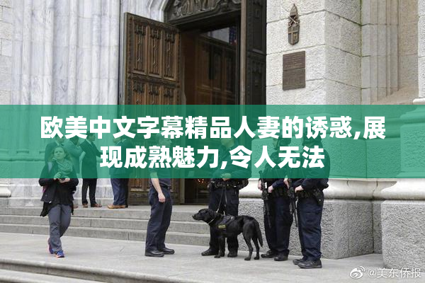 欧美中文字幕精品人妻的诱惑,展现成熟魅力,令人无法