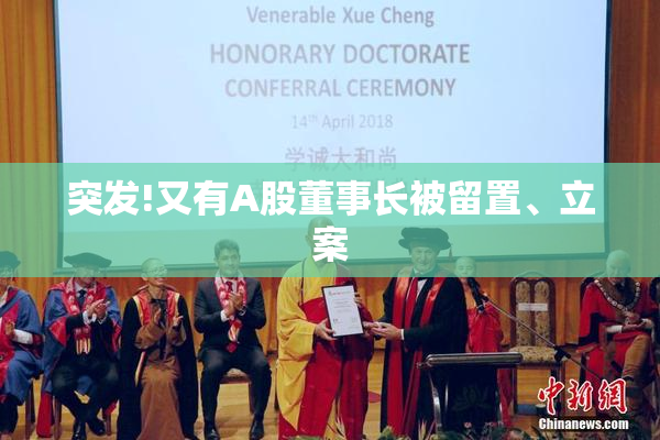 突发!又有A股董事长被留置、立案