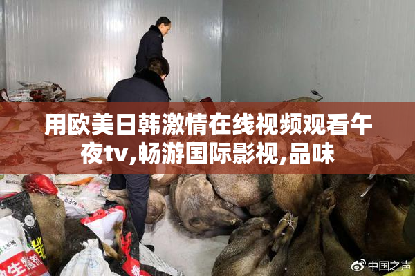用欧美日韩激情在线视频观看午夜tv,畅游国际影视,品味
