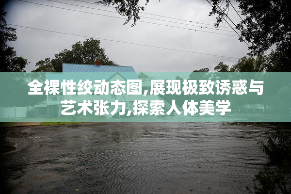 全裸性绞动态图,展现极致诱惑与艺术张力,探索人体美学