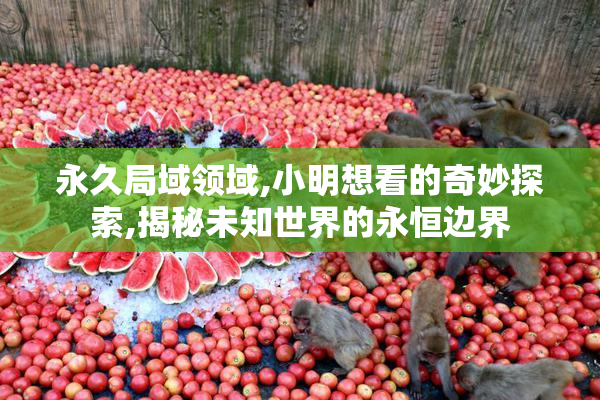 永久局域领域,小明想看的奇妙探索,揭秘未知世界的永恒边界