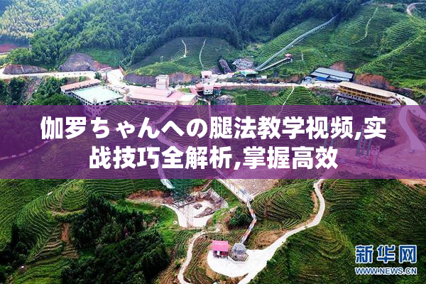 伽罗ちゃんへの腿法教学视频,实战技巧全解析,掌握高效