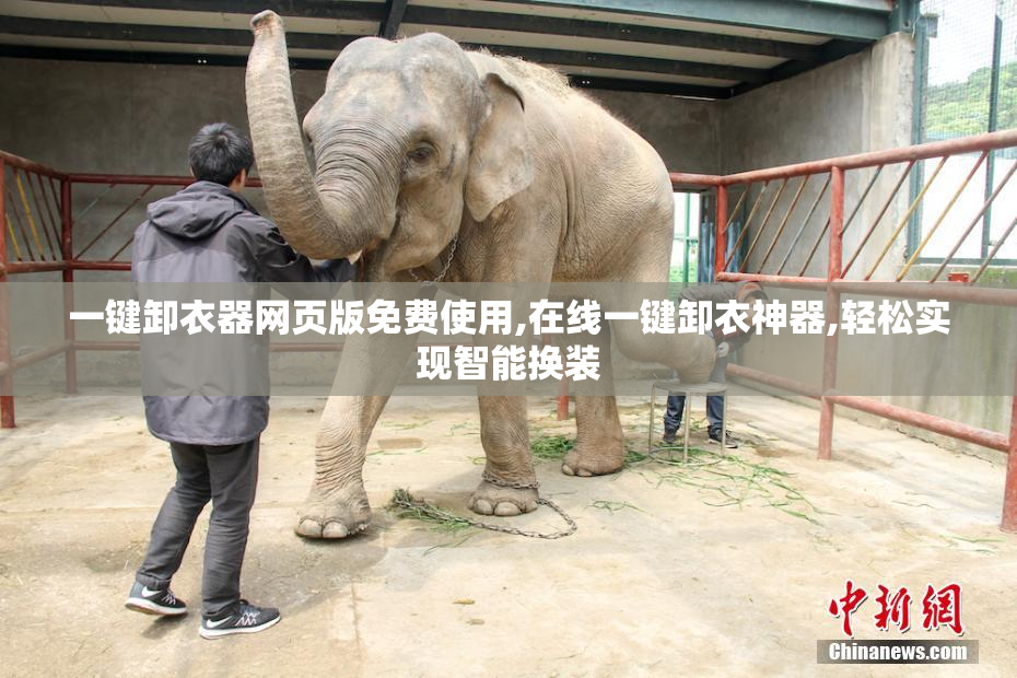 一键卸衣器网页版免费使用,在线一键卸衣神器,轻松实现智能换装