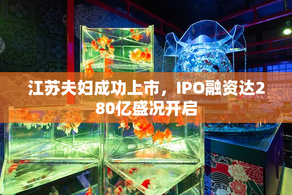 江苏夫妇成功上市，IPO融资达280亿盛况开启