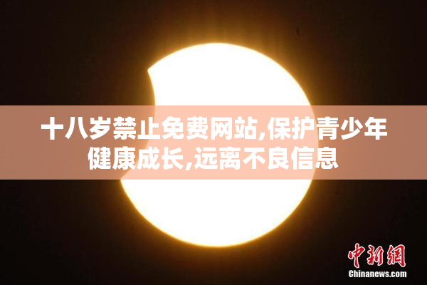 十八岁禁止免费网站,保护青少年健康成长,远离不良信息