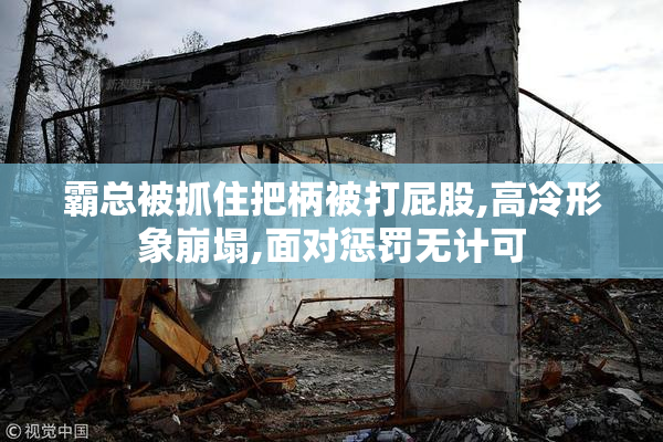 霸总被抓住把柄被打屁股,高冷形象崩塌,面对惩罚无计可