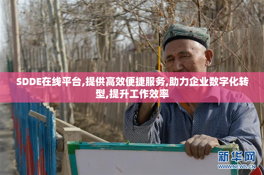 SDDE在线平台,提供高效便捷服务,助力企业数字化转型,提升工作效率