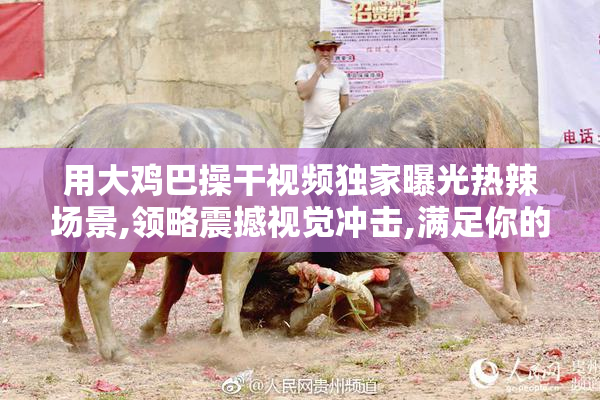 用大鸡巴操干视频独家曝光热辣场景,领略震撼视觉冲击,满足你的