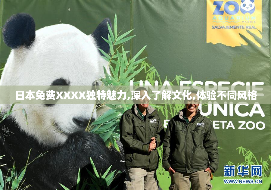 日本免费XXXX独特魅力,深入了解文化,体验不同风格