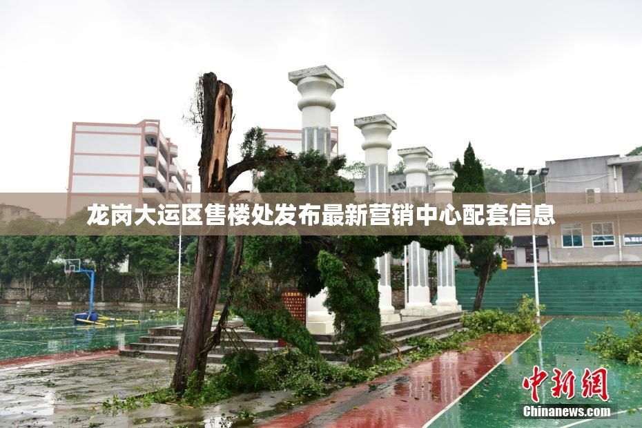 龙岗大运区售楼处发布最新营销中心配套信息