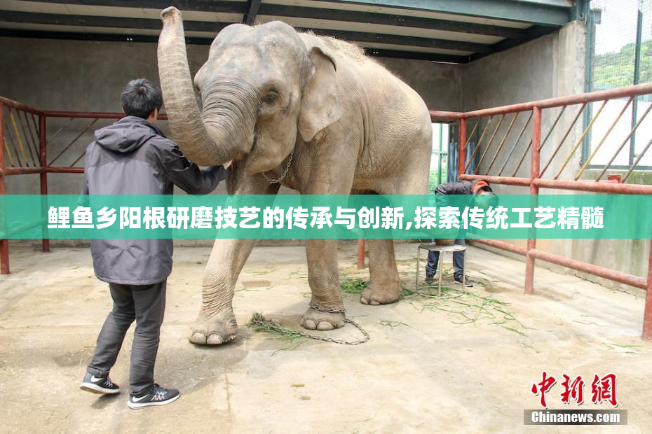 鲤鱼乡阳根研磨技艺的传承与创新,探索传统工艺精髓