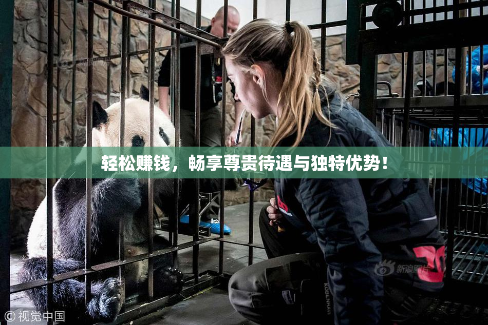轻松赚钱，畅享尊贵待遇与独特优势！