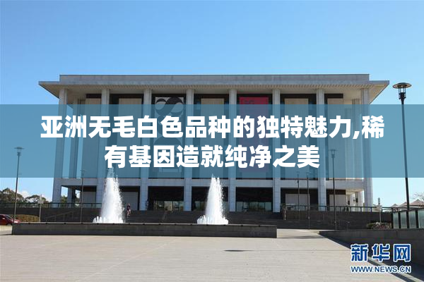 亚洲无毛白色品种的独特魅力,稀有基因造就纯净之美