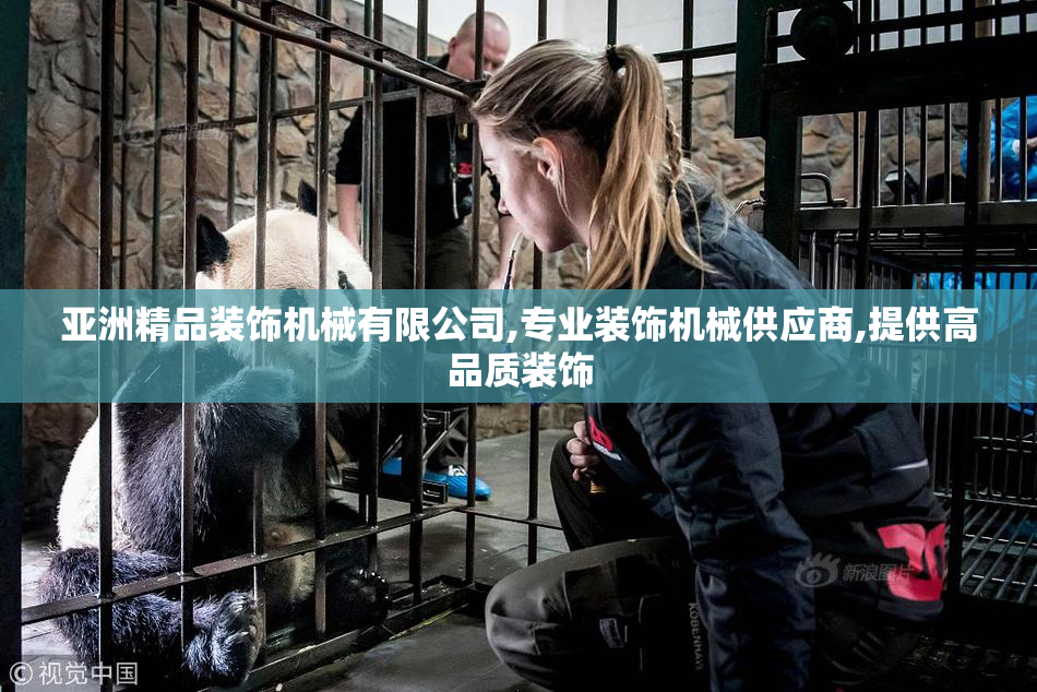 亚洲精品装饰机械有限公司,专业装饰机械供应商,提供高品质装饰