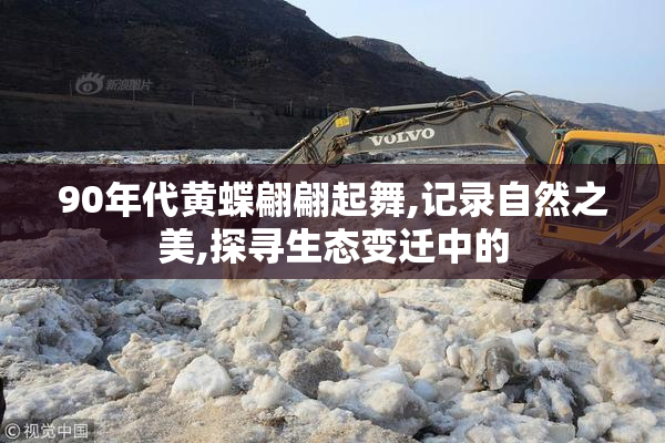 90年代黄蝶翩翩起舞,记录自然之美,探寻生态变迁中的