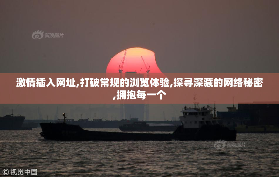 激情插入网址,打破常规的浏览体验,探寻深藏的网络秘密,拥抱每一个