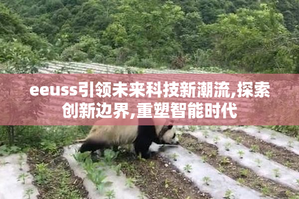 eeuss引领未来科技新潮流,探索创新边界,重塑智能时代