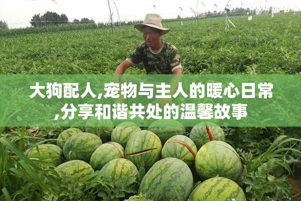 大狗配人,宠物与主人的暖心日常,分享和谐共处的温馨故事