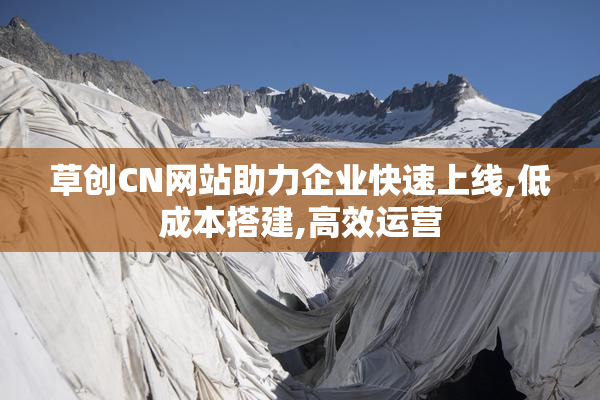 草创CN网站助力企业快速上线,低成本搭建,高效运营