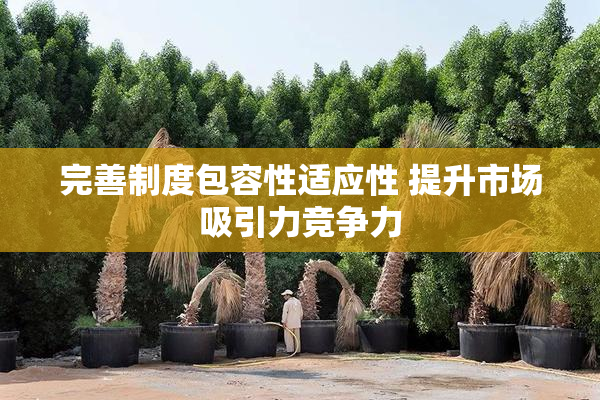 完善制度包容性适应性 提升市场吸引力竞争力