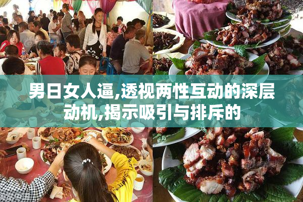 男日女人逼,透视两性互动的深层动机,揭示吸引与排斥的
