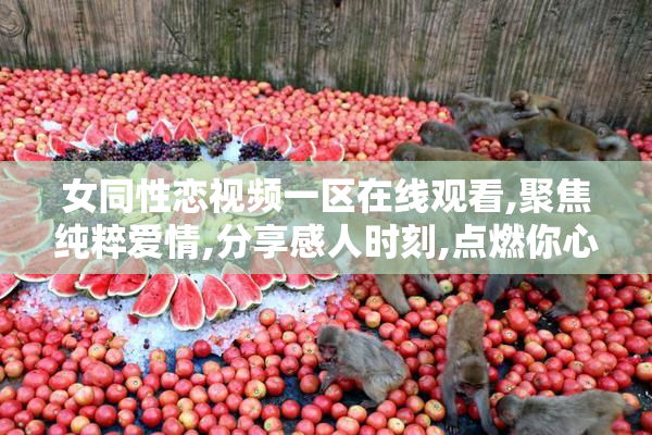 女同性恋视频一区在线观看,聚焦纯粹爱情,分享感人时刻,点燃你心中