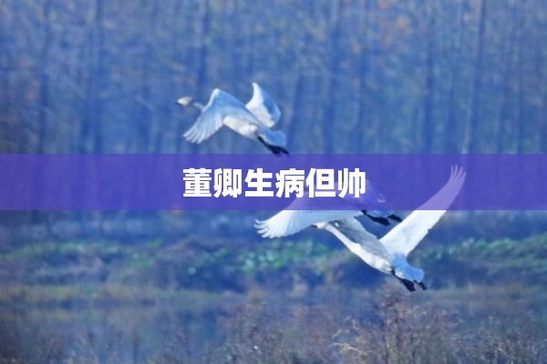 董卿生病但帅