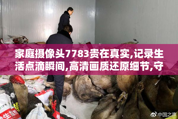 家庭摄像头7783贵在真实,记录生活点滴瞬间,高清画质还原细节,守护