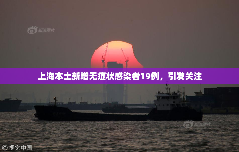 上海本土新增无症状感染者19例，引发关注