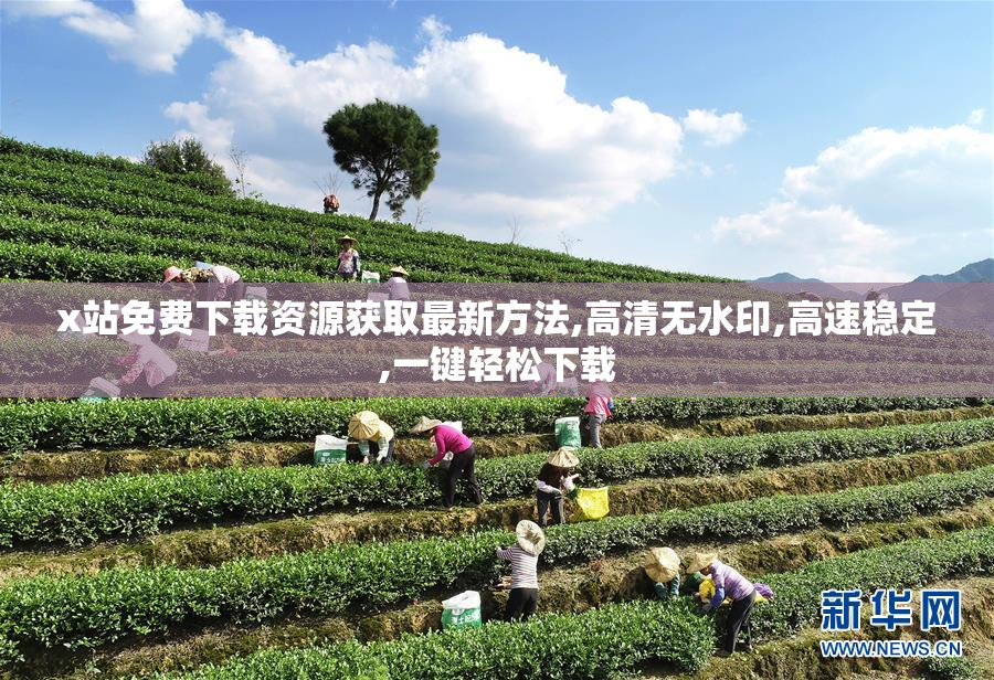x站免费下载资源获取最新方法,高清无水印,高速稳定,一键轻松下载