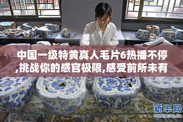 中国一级特黄真人毛片6热播不停,挑战你的感官极限,感受前所未有的