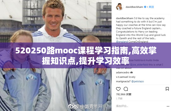 520250路mooc课程学习指南,高效掌握知识点,提升学习效率