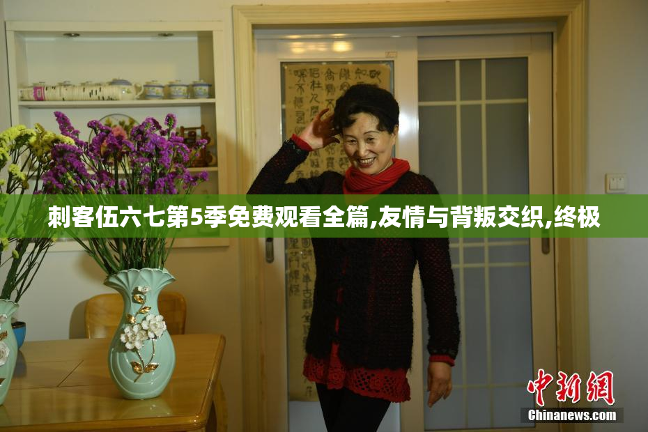 刺客伍六七第5季免费观看全篇,友情与背叛交织,终极