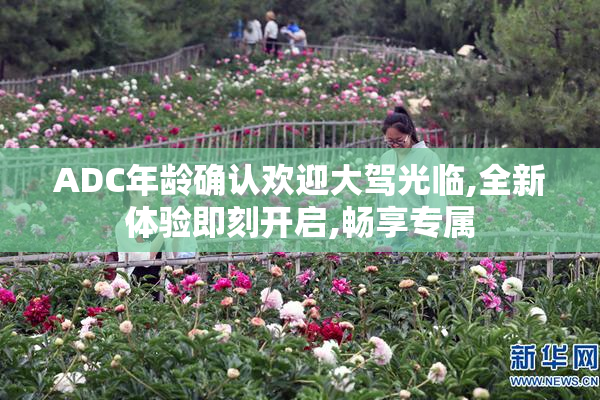 ADC年龄确认欢迎大驾光临,全新体验即刻开启,畅享专属