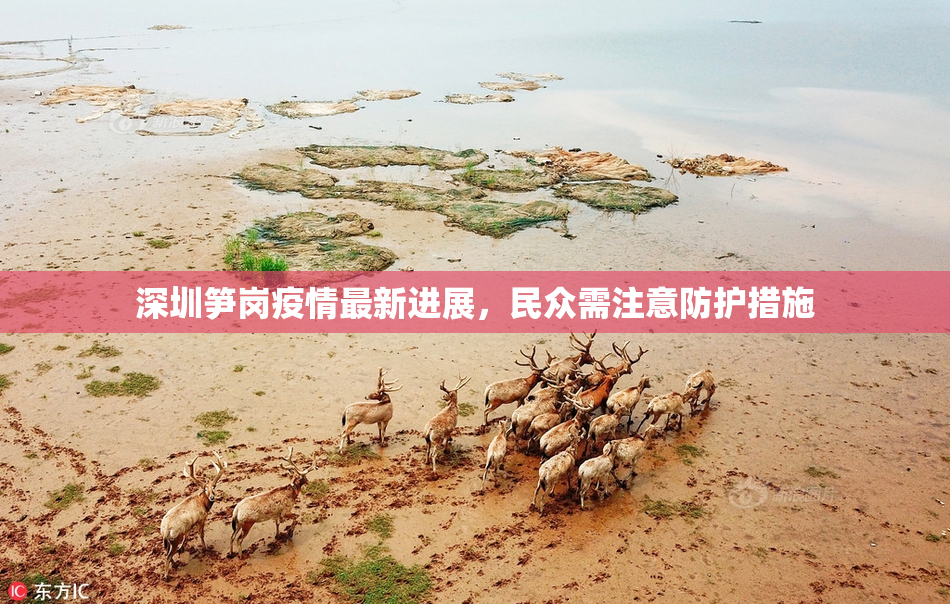深圳笋岗疫情最新进展，民众需注意防护措施
