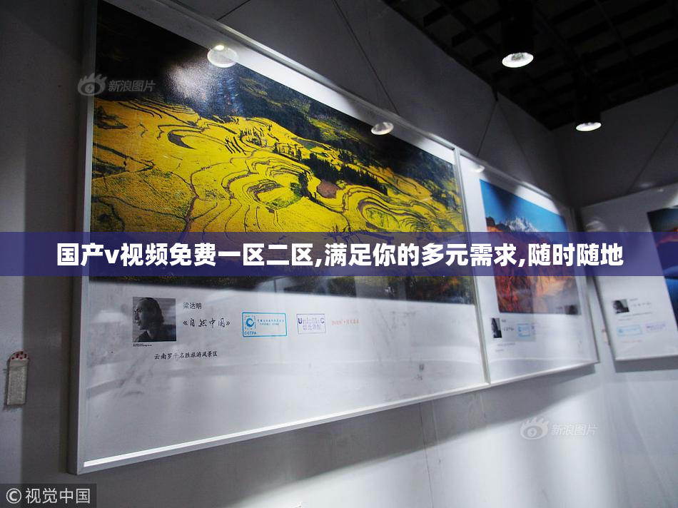 国产v视频免费一区二区,满足你的多元需求,随时随地