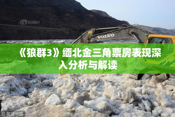 《狼群3》缅北金三角票房表现深入分析与解读