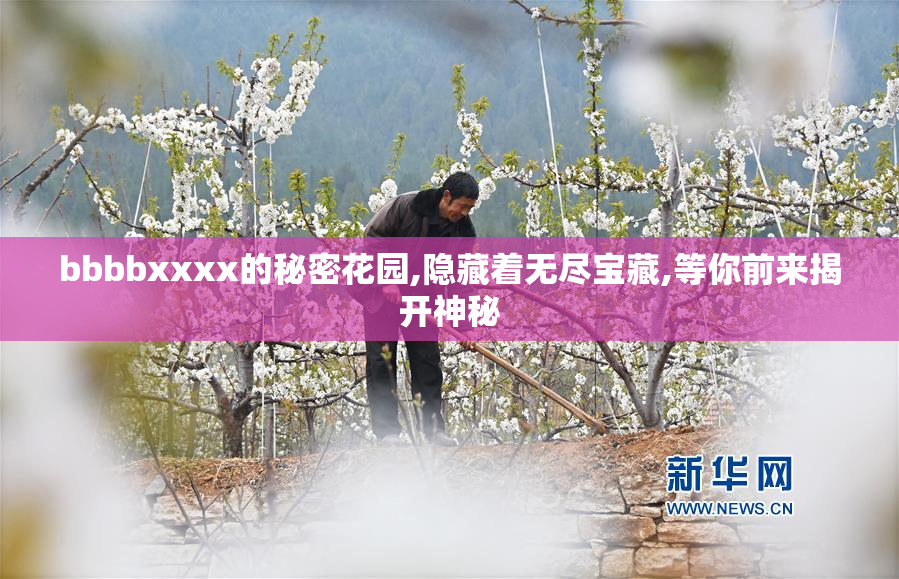 bbbbxxxx的秘密花园,隐藏着无尽宝藏,等你前来揭开神秘