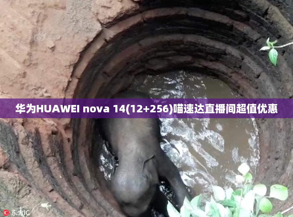 华为HUAWEI nova 14(12+256)喵速达直播间超值优惠