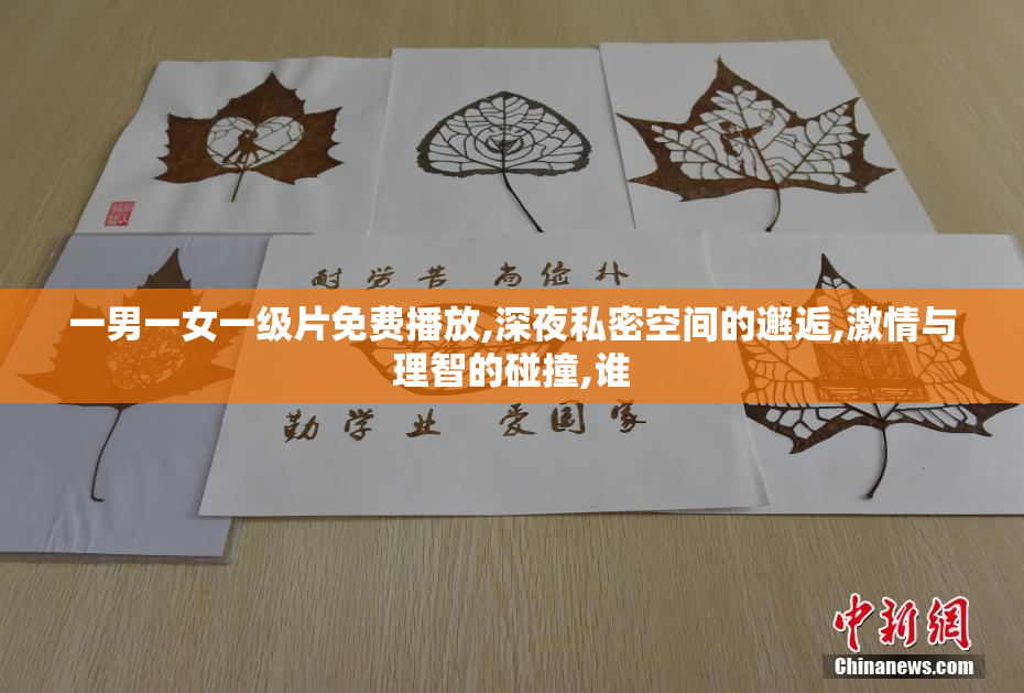 一男一女一级片免费播放,深夜私密空间的邂逅,激情与理智的碰撞,谁