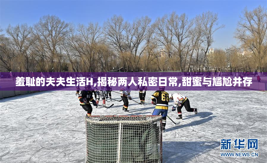 羞耻的夫夫生活H,揭秘两人私密日常,甜蜜与尴尬并存