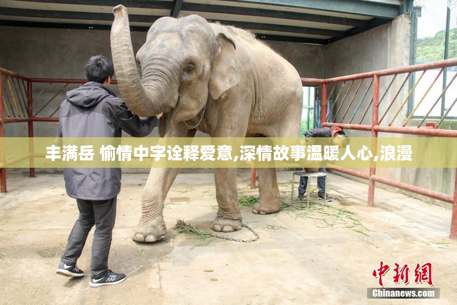 丰满岳 愉情中字诠释爱意,深情故事温暖人心,浪漫