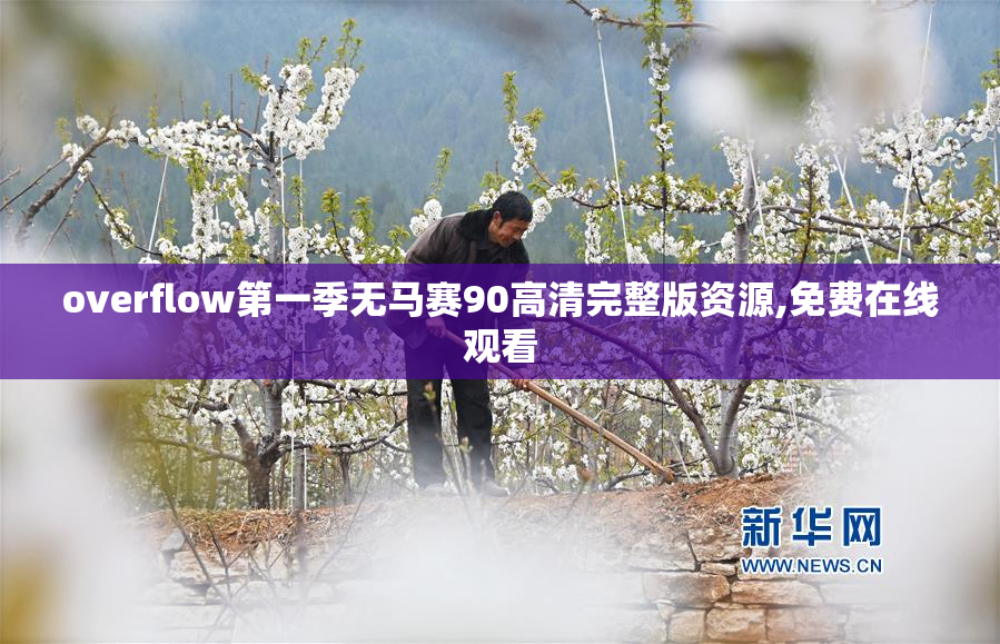 overflow第一季无马赛90高清完整版资源,免费在线观看