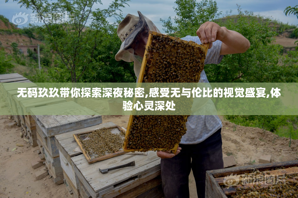 无码玖玖带你探索深夜秘密,感受无与伦比的视觉盛宴,体验心灵深处