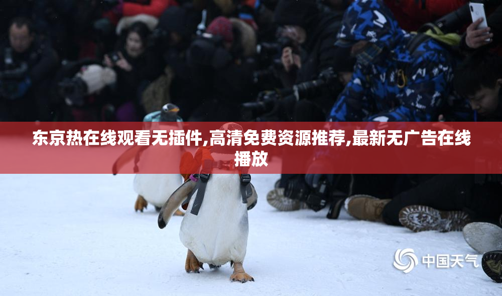 东京热在线观看无插件,高清免费资源推荐,最新无广告在线播放