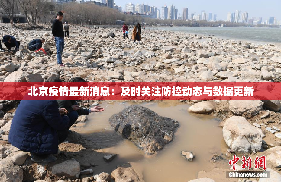 北京疫情最新消息：及时关注防控动态与数据更新