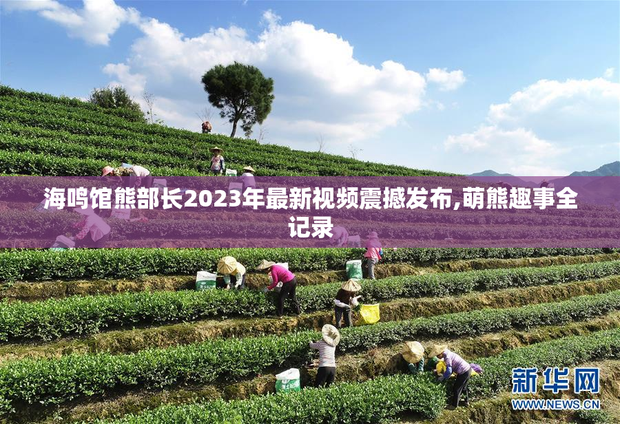 海鸣馆熊部长2023年最新视频震撼发布,萌熊趣事全记录